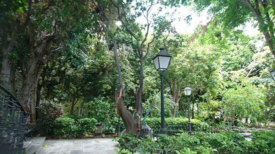 Ogród botaniczny w Agaete